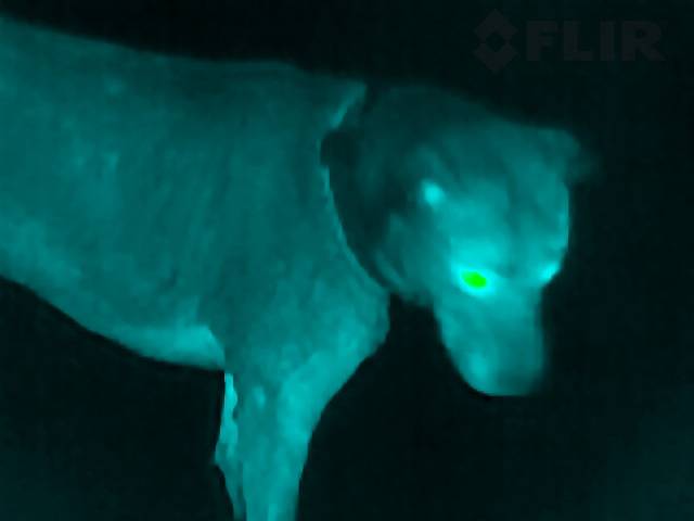 FLIR Scout TK